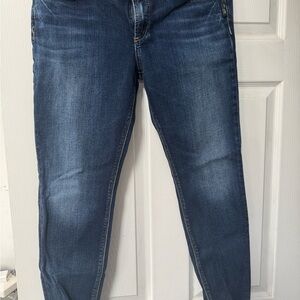 Silver Jeans Blue Skinny Jeans